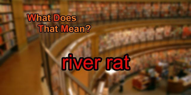 river rat là gì - Nghĩa của từ river rat