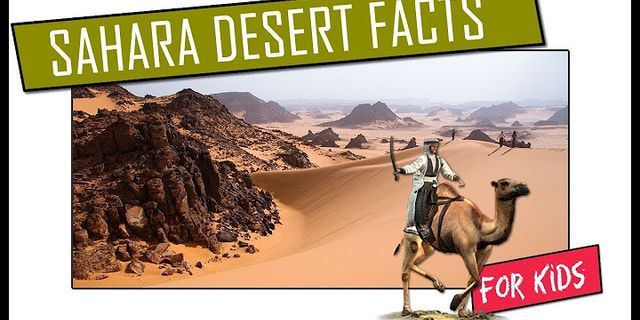 sahara desert là gì - Nghĩa của từ sahara desert