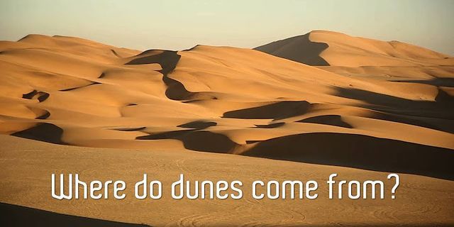 sand dunes là gì - Nghĩa của từ sand dunes