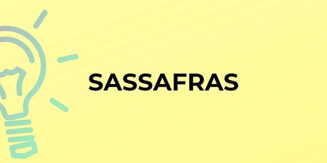 sasafras là gì - Nghĩa của từ sasafras