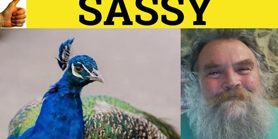 sassy bitch là gì - Nghĩa của từ sassy bitch
