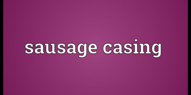 sausage casing là gì - Nghĩa của từ sausage casing