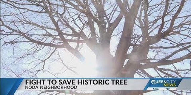 save a tree là gì - Nghĩa của từ save a tree