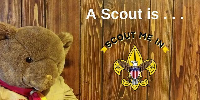 scout law là gì - Nghĩa của từ scout law