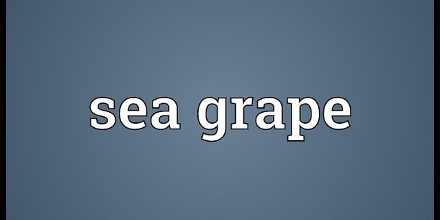 sea grape là gì - Nghĩa của từ sea grape