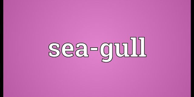 sea gull là gì - Nghĩa của từ sea gull
