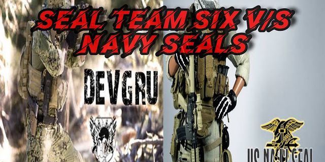 seal team 6 là gì - Nghĩa của từ seal team 6