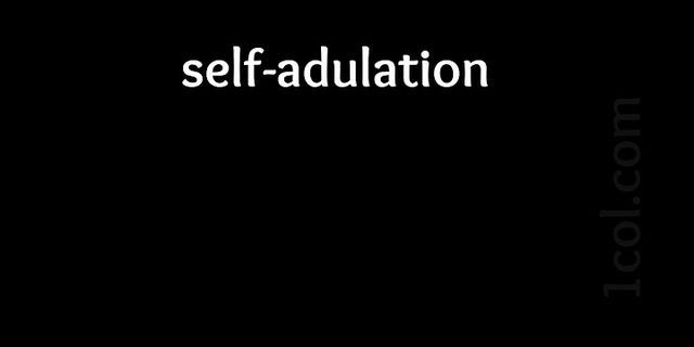 self adulation là gì - Nghĩa của từ self adulation