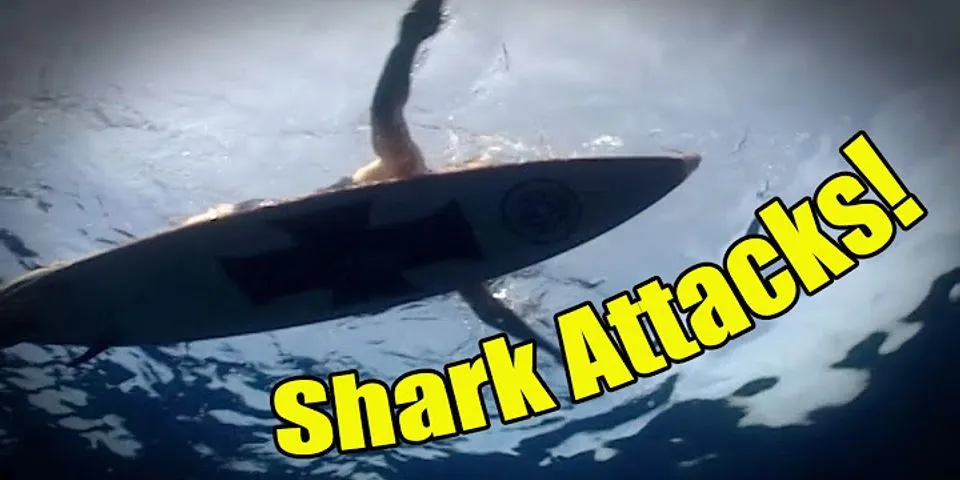 shark attack là gì - Nghĩa của từ shark attack