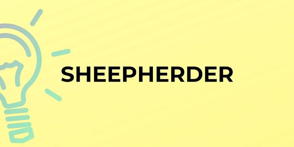 sheep herder là gì - Nghĩa của từ sheep herder