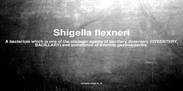 shigella là gì - Nghĩa của từ shigella