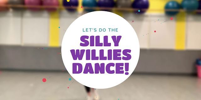 silly willies là gì - Nghĩa của từ silly willies