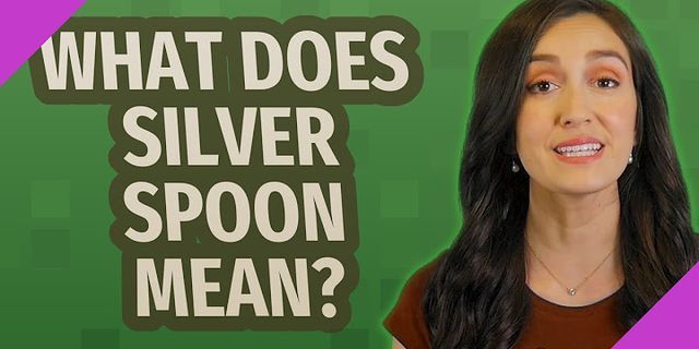 silver spoon là gì - Nghĩa của từ silver spoon