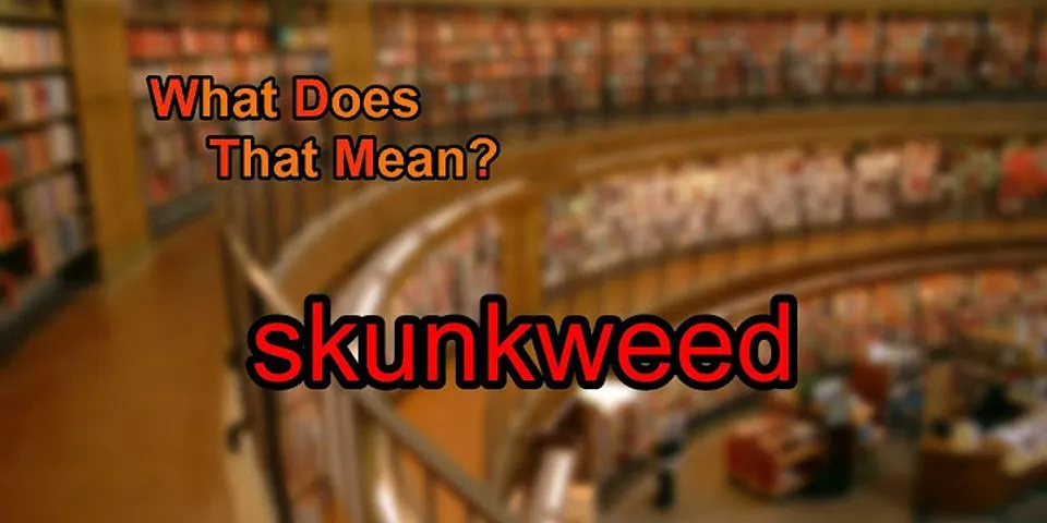 skunk weed là gì - Nghĩa của từ skunk weed