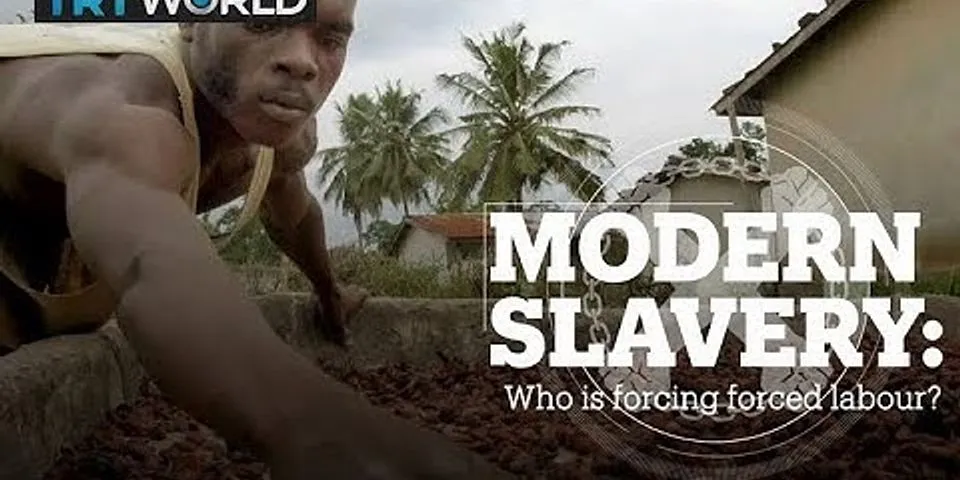 slave laborer là gì - Nghĩa của từ slave laborer