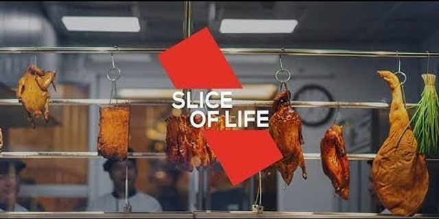 slice of life là gì - Nghĩa của từ slice of life