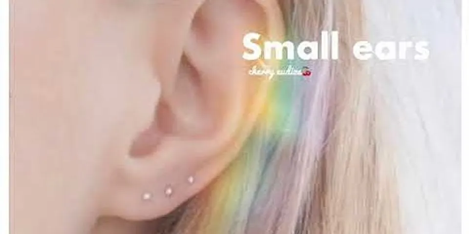 small ears là gì - Nghĩa của từ small ears