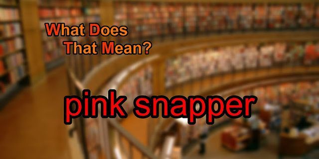 snapper là gì - Nghĩa của từ snapper