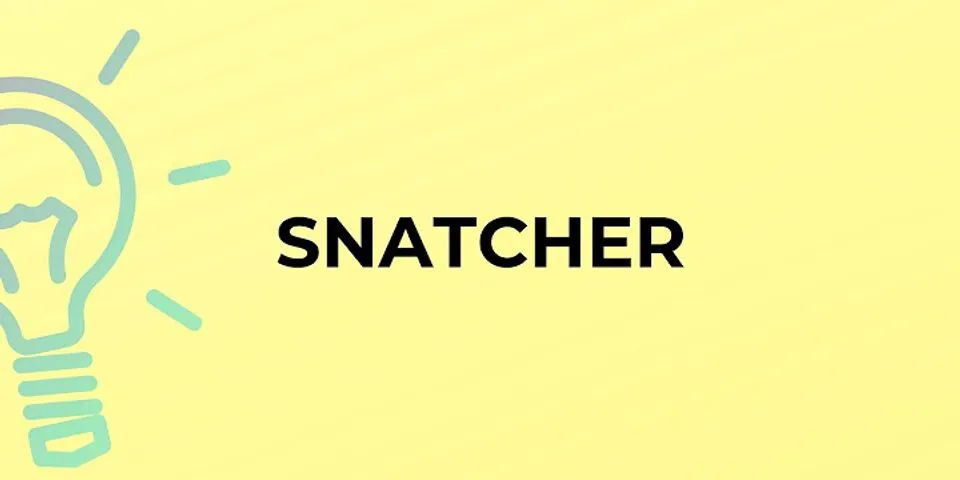 snatcher là gì - Nghĩa của từ snatcher