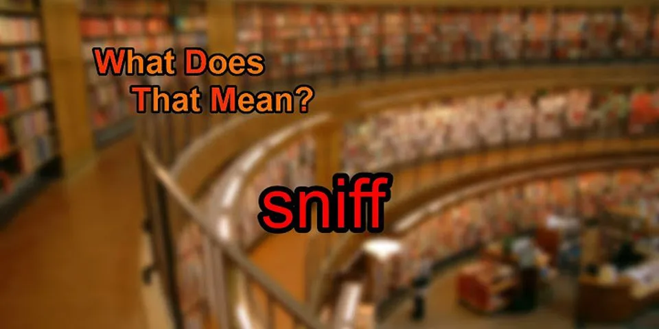 sniffs là gì - Nghĩa của từ sniffs