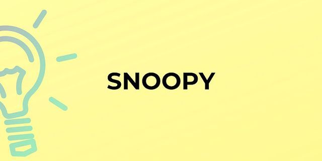 snoopy d là gì - Nghĩa của từ snoopy d