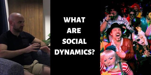 social dynamic là gì - Nghĩa của từ social dynamic