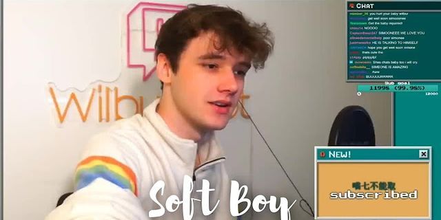 soft boy là gì - Nghĩa của từ soft boy