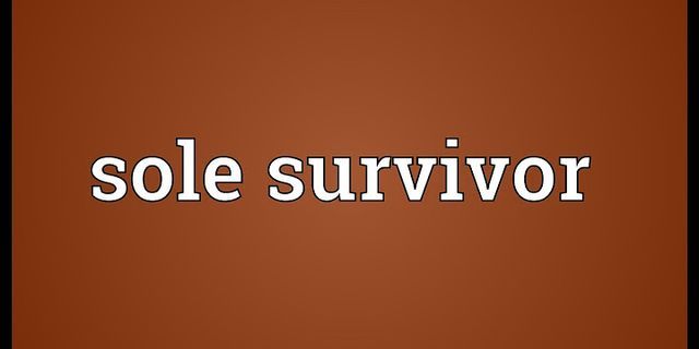 sole survivor là gì - Nghĩa của từ sole survivor