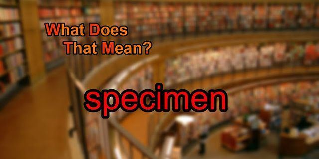 speciman là gì - Nghĩa của từ speciman