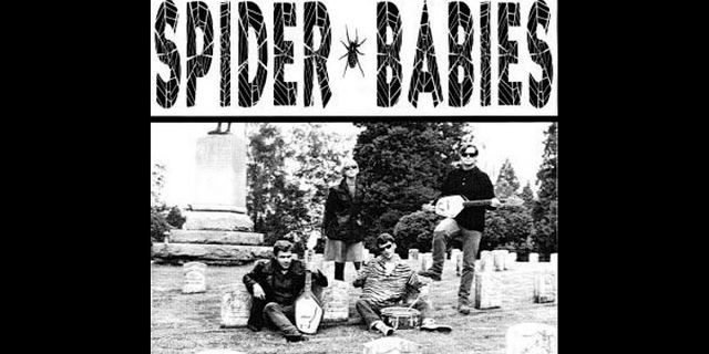 spider babies là gì - Nghĩa của từ spider babies