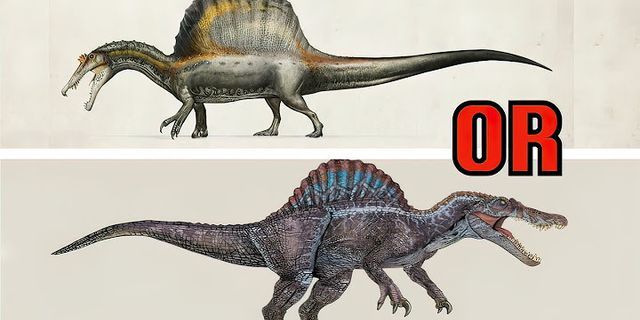 spinosaurus là gì - Nghĩa của từ spinosaurus
