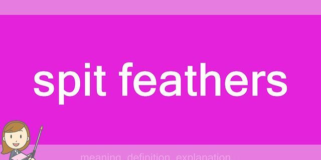 spitting feathers là gì - Nghĩa của từ spitting feathers