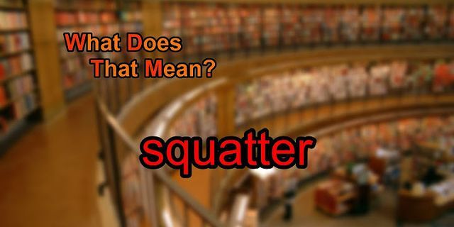squatter là gì - Nghĩa của từ squatter