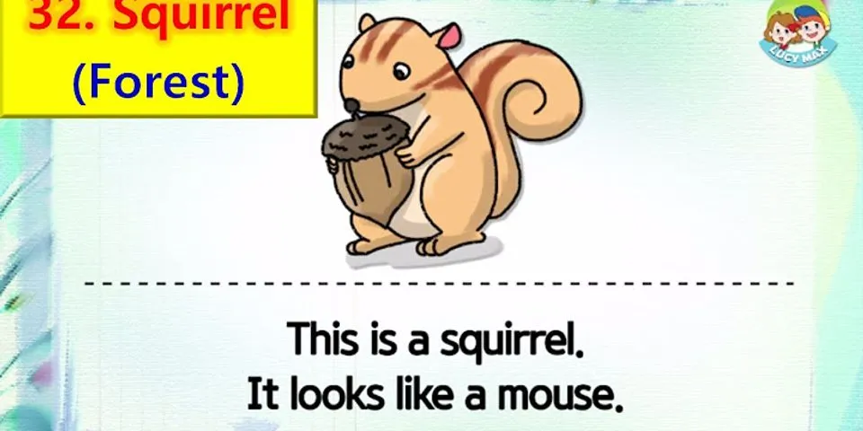 squirrel aids là gì - Nghĩa của từ squirrel aids