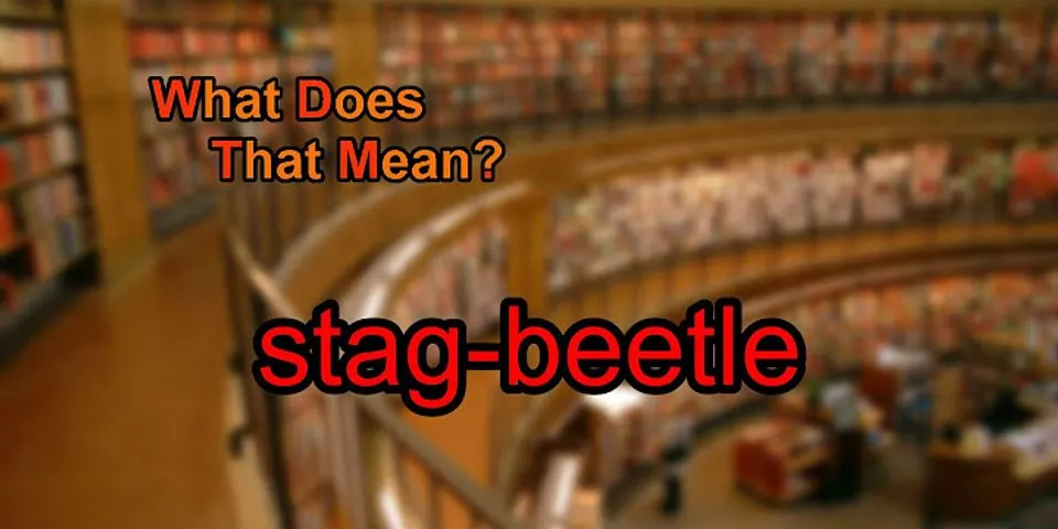 stag beetle là gì - Nghĩa của từ stag beetle