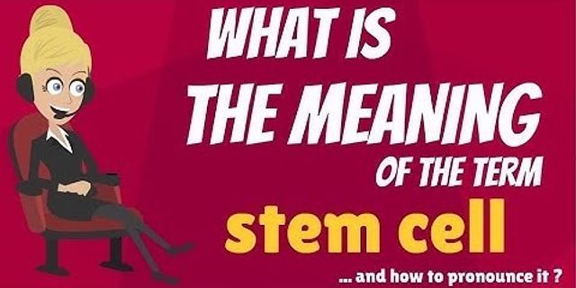 stem cells là gì - Nghĩa của từ stem cells