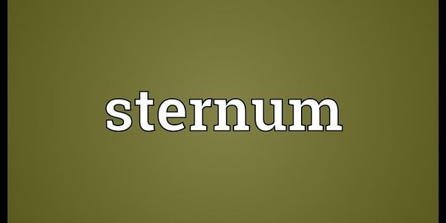 sternum là gì - Nghĩa của từ sternum