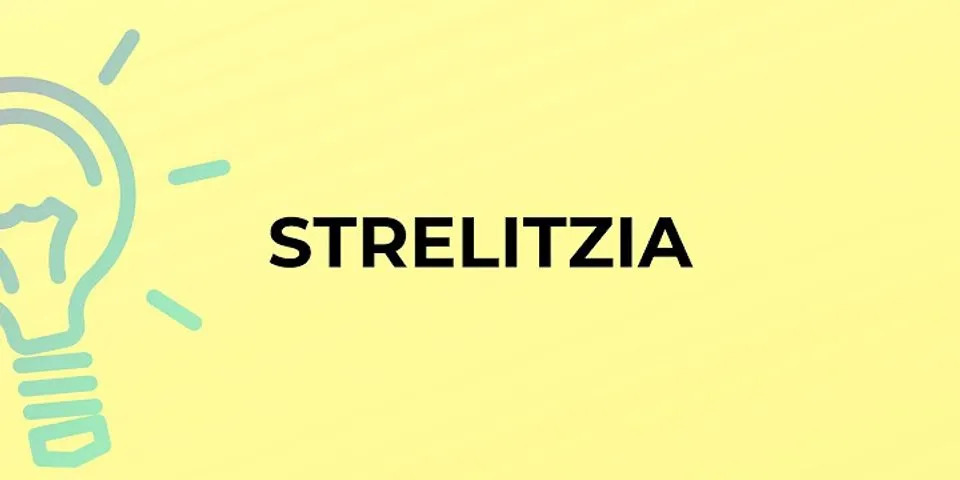 strelizia là gì - Nghĩa của từ strelizia