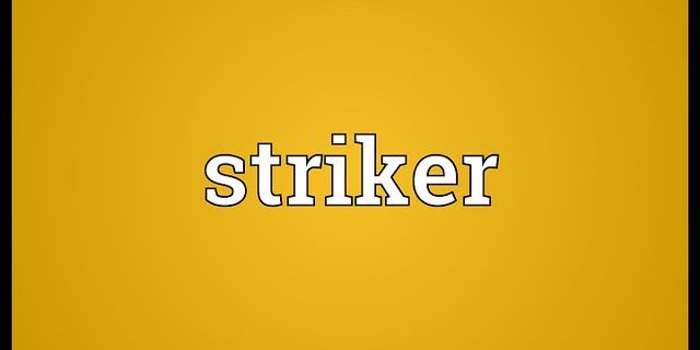 striker là gì - Nghĩa của từ striker