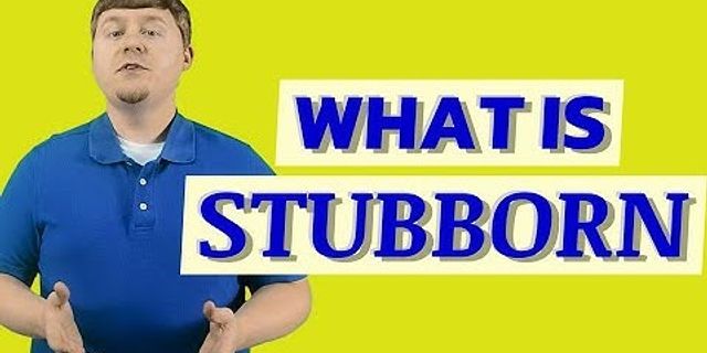 stubborn bitch là gì - Nghĩa của từ stubborn bitch