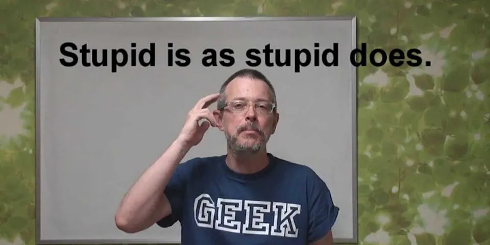 stupid stupid là gì - Nghĩa của từ stupid stupid