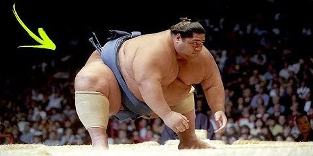 sumo wrestling là gì - Nghĩa của từ sumo wrestling
