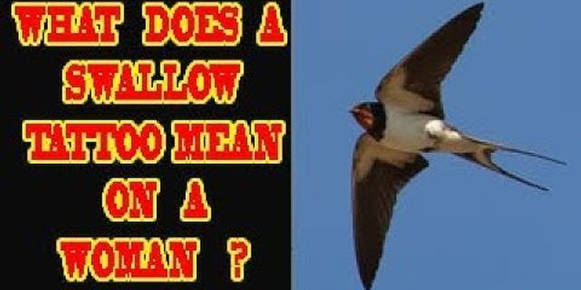 swallow tattoos là gì - Nghĩa của từ swallow tattoos