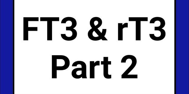 t-3 là gì - Nghĩa của từ t-3