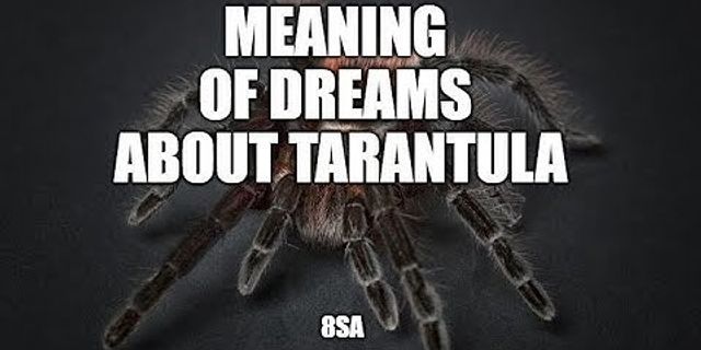 tarantula là gì - Nghĩa của từ tarantula