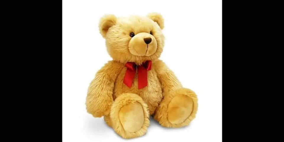 teddy bear là gì - Nghĩa của từ teddy bear