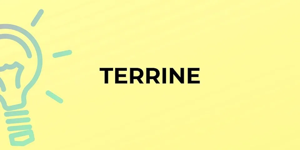 terrine là gì - Nghĩa của từ terrine
