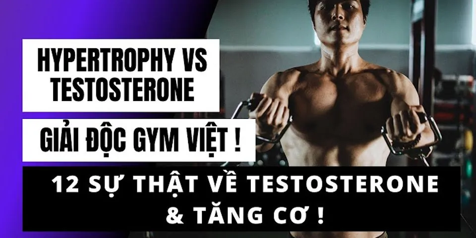testosterone fight là gì - Nghĩa của từ testosterone fight