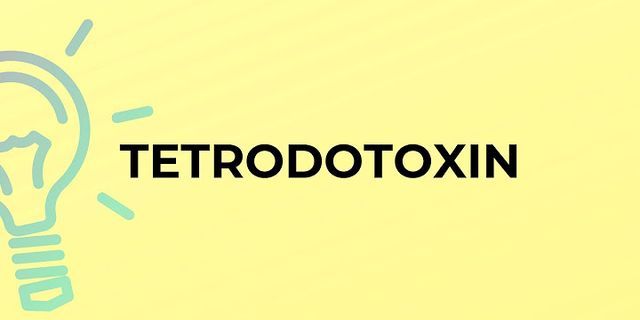 tetrodotoxin là gì - Nghĩa của từ tetrodotoxin