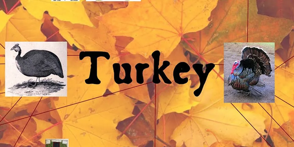 thanksgiving turkey là gì - Nghĩa của từ thanksgiving turkey